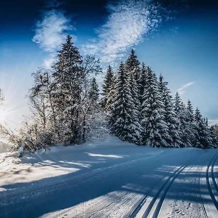 Apartman Four Peaks Flachau