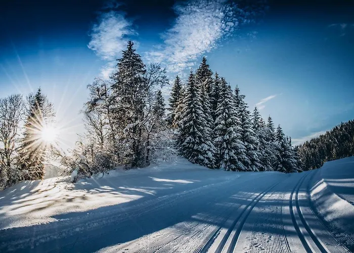 Appartement Four Peaks Flachau