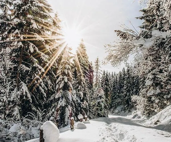 Four Peaks Appartement